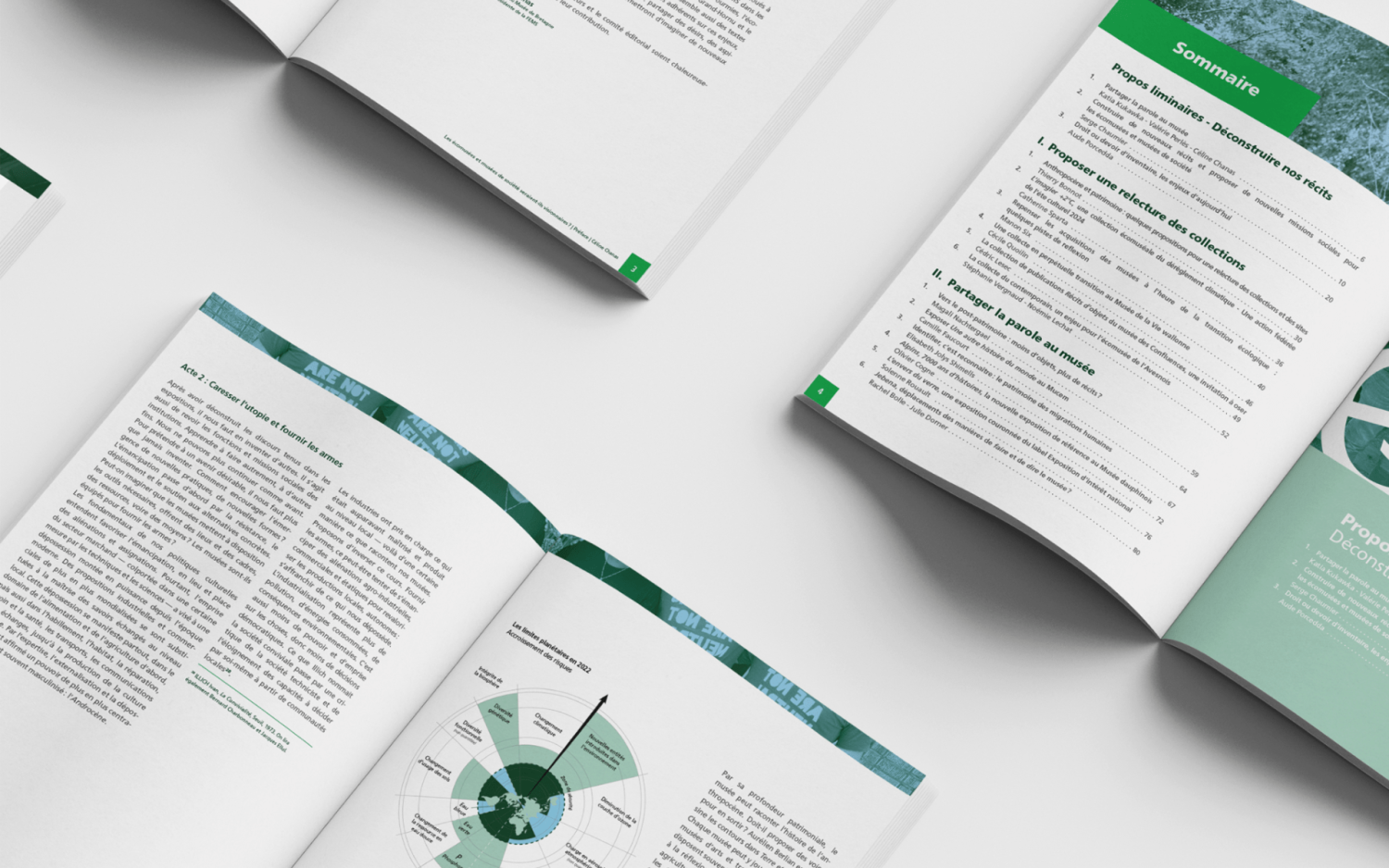 Rapport de la FEMS 2024 - pages intérieures 2